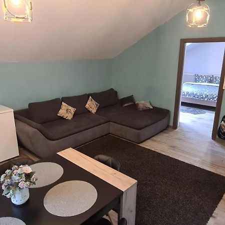 Comfort Home Apartment 3 彼得罗沙尼 外观 照片
