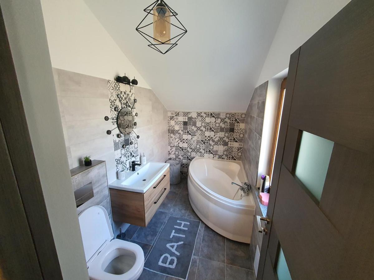 Comfort Home Apartment 3 彼得罗沙尼 外观 照片