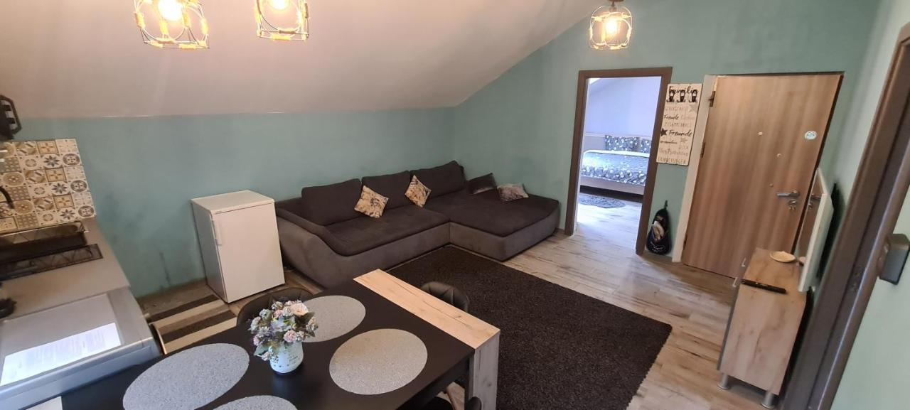 Comfort Home Apartment 3 彼得罗沙尼 外观 照片