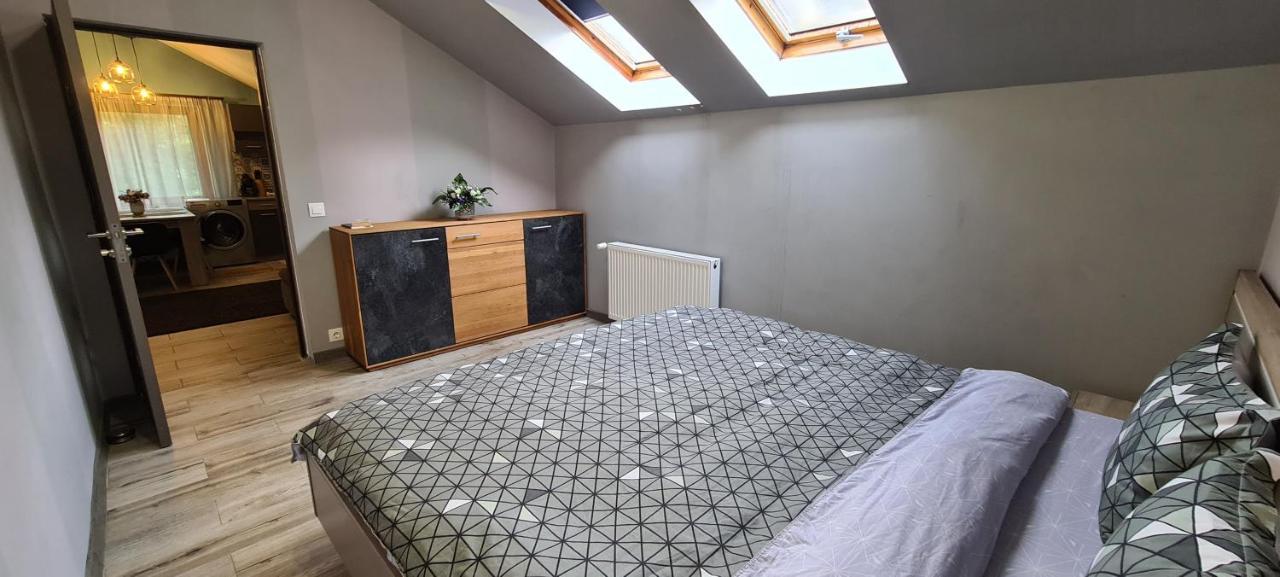 Comfort Home Apartment 3 彼得罗沙尼 外观 照片